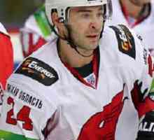Ruski hokejski igrač Alexander Popov: biografija, sportska karijera i osobni život