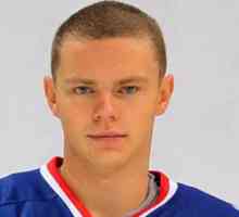 Ruski napadač Mikhailov Dmitry: povijest karijere hokejaša