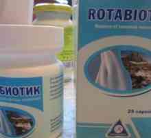 "Rotabiotic": upute za uporabu, opis lijeka, povratne informacije