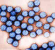 Rotavirus: simptomi kod djeteta bez temperature, liječenja i prevencije