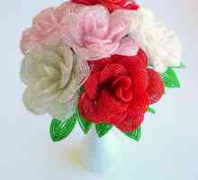 Розы: схема из бисера. Плетение роз из бисера: мастер-класс