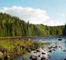 Ribolov divljina u Karelia: recenzije. Gdje ići u Kareliju za ribolov divljim
