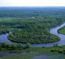 Ribolov u regiji Bryansk - ribolovna mjesta za znanje korisna!