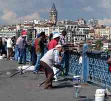 Ribolov u Turskoj: gdje i što uhvatiti? Kakvu je ribu uhvaćeno u Turskoj
