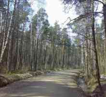 Rzhev Forest Park. Park šuma Rzhevsky u okrugu Vsevolozhsk (St. Petersburg): recenzije