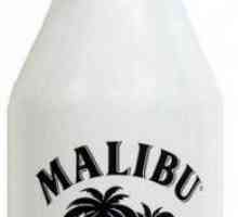 Uz što i kako piti piće `Malibu`