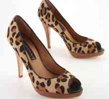 Sa što nositi leopard cipele?