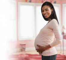 Od kojeg mjeseca trudne majke idu na porodni dopust?