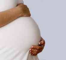 Od kojeg tjedna počinje trudnoća trudnoće? Značajke razdoblja, razvoj fetusa