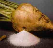 Šećerna repa: svojstva, sadržaj kalorija