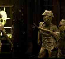 "Silent Hill 2" (film 2012): glumci i uloge, zemljište, recenzije