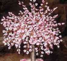 Sakura od kuglica: majstorska klasa od perli (fotografija)