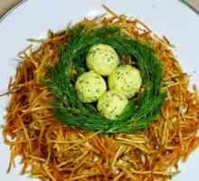 Salata "Ptičji gnijezdo": najbolji recept