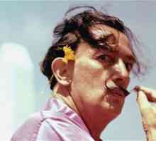 Salvador Dali: najpoznatije slike. Dali: kreativnost