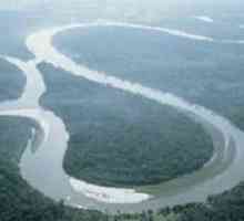 Najveća rijeka na svijetu je Amazona