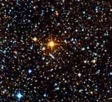 Najveća zvijezda u galaksiji Mliječni put