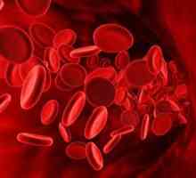 Najrjeđa skupina krvi je karakteristična osobina