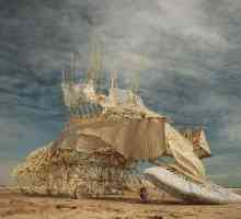 Najzanimljiviji u umjetnosti: Theo Jansen i njegove kinetičke skulpture