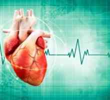 Najučinkovitiji lijek za srčanu aritmiju: popis, recenzije