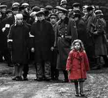 Najbolji dokumentarni i igrani filmovi o holokaustu: popis, recenzije i recenzije
