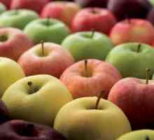 Raznolikost vrsta jabuka