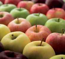 Najcjenjenije vrste jabuka: popis i opis