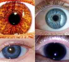 Najrjeđa boja očiju - što je to?