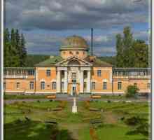 Sanatoriums, Leningradska regija: recenzije, liječenje, mogućnosti. Najbolja sanatorija…