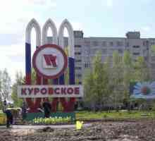 Sanatorij "Srebrna opruga": poboljšanje zdravlja i odmor u Moskvi regiji