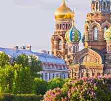 St. Petersburg: galerije koje vrijedi posjetiti. Fotografije i recenzije turista