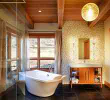 Kupaonica u drvenoj kući: dizajn i uređaj. Vodonepropusnost kupaonice u drvenoj kući i završiti