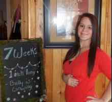 Sedmi tjedan trudnoće - što se događa? Razvoj, veličina fetusa