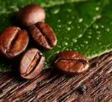Tajna najbolje kave je `pravo` zrna kave