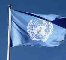 Tajništvo UN-a: struktura, sastav, funkcije