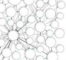 Semantička mreža: definicija, klasifikacija i primjena