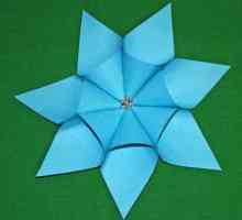 Zvijezda sa sedam točaka: trodimenzionalni krug