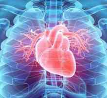 Ventili srca: opis, struktura, funkcija i nedostatci