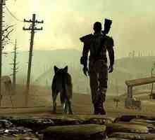 "Srebrni plašt" (Fallout 4): opis i prolaz