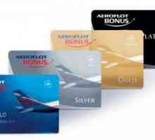 Srebrna razina Aeroflot bonusa: privilegije sudionika programa