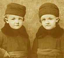 Sergej Ilyich Ulyanov - blizanac Lenjina: biografija, fotografija. Djeca Sergeja Iljiča Uljanova