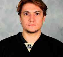 Sergej Plotnikov - igrač hokeja iz Habarovskog. Biografija i sportska postignuća