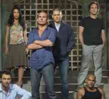 Serija `Escape`: Michael Scofield, biografija i opis serije