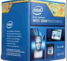 Mikroprocesor poslužitelja Xeon E3-1230. Specifikacije, recenzije