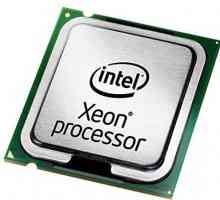 Procesor poslužitelja Xeon E3 - 1270 revizija V2. Karakteristike, značajke korištenja, aktualnost…