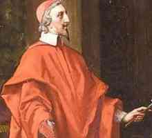 "Sivi kardinal": značenje frazeologije i primjeri upotrebe