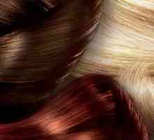 `Cess `(boja za kosu): recenzije, cijene, paleta