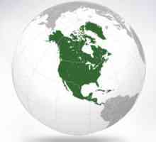 Sjeverna Amerika - problemi okoliša. Ekološki problemi sjevernoameričkog kontinenta
