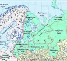 Sjeverozapadna Rusija: Ekonomija i geografija