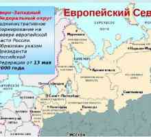 Sjeverozapadna regija Rusije: sastav, zemljopis, resursi, opće karakteristike