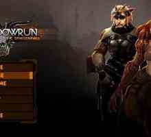 Shadowrun: Dragonfall - prolaz, zemljište i druge značajke igre